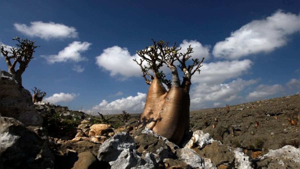 Socotra island: India’s geo-strategic opportunity to check China's ...