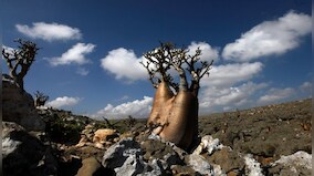 Socotra island: India’s geo-strategic opportunity to check China's overambition in Red Sea