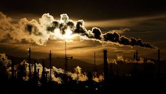 Unleashing innovation: How technology companies in India are embracing carbon credits