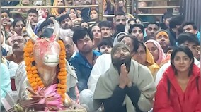 Madhya Pradesh: Congress candidate offers earnest prayers at Ujjain's Mahakaleshwar Temple with hours left to counting