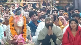Madhya Pradesh: Congress candidate offers earnest prayers at Ujjain's Mahakaleshwar Temple with hours left to counting