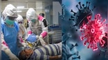 Covid-19: 157 cases of sub-variant JN.1 detected in India; highest from Kerala, Gujarat