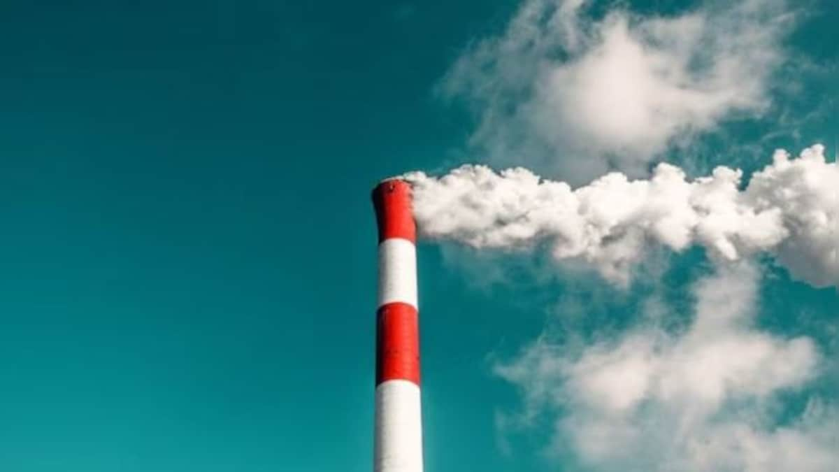 Can't put India and nations with high per capita emissions in same basket: European Parliament member