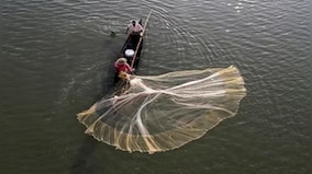 Sri Lanka arrests 14 Indian fishermen for 'poaching' in its waters, in all 240 so far this year