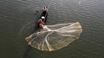 Sri Lanka arrests 14 Indian fishermen for 'poaching' in its waters, in all 240 so far this year
