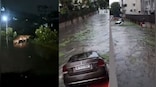 Viral Video: Cars floating, crocodile strolling on street as Chennai rain leaves city waterlogged