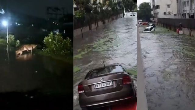 Viral Video: Cars floating, crocodile strolling on street as Chennai rain leaves city waterlogged Viral Video: Cars floating, crocodile strolling on street as Chennai rain leaves city waterlogged