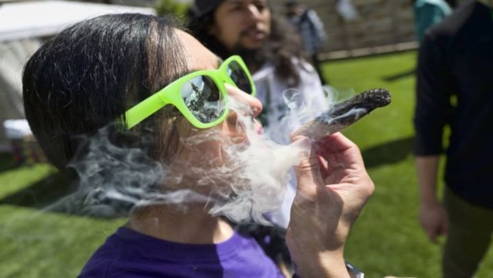 That's Dope: What is the Netherlands' trial project which will legalise all cannabis?