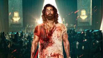 Animal box office: Ranbir Kapoor-Rashmika Mandanna starrer takes bumper opening, beats Pathaan, Tiger 3 & Gadar 2