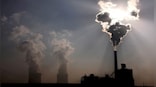 What does a net zero world look like? Here's what experts say