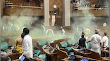 Who are the people behind the Lok Sabha breach?