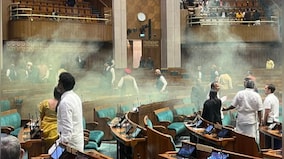 Who are the people behind the Lok Sabha breach?