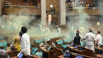 Who are the people behind the Lok Sabha breach?