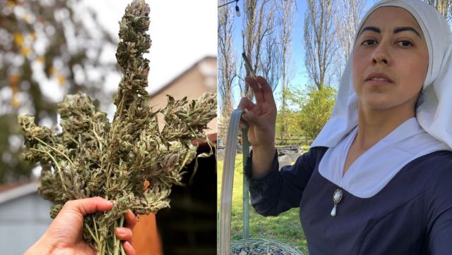 'High' Priestesses: 5 ‘nuns’ in Mexico don the ‘habit’ of cannabis to take back control from narcos 'High' Priestesses: 5 ‘nuns’ in Mexico don the ‘habit’ of cannabis to take back control from narcos