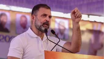 'Congress failed more than BJP succeeded,' says TMC