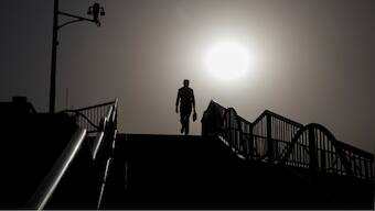 Schadenfreude or misanthropy? Chinese blogger shares tale of reclusive kin's secluded life, goes viral