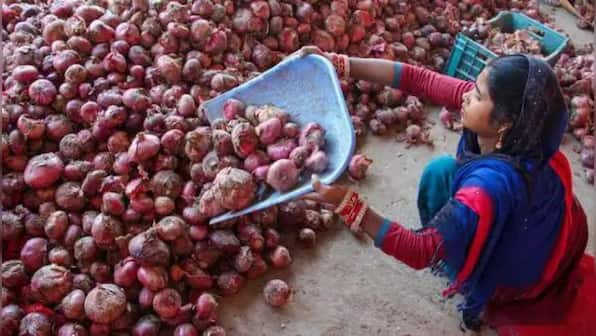 India bans export of onions till March 2024 to meet domestic demand