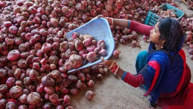 India bans export of onions till March 2024 to meet domestic demand India bans export of onions till March 2024 to meet domestic demand