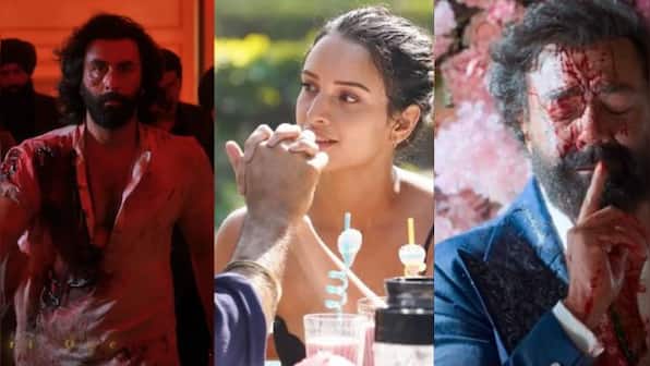 Animal: How Ranbir Kapoor's film shows a world of Sikhs and Muslims but never becomes about religion | Explained