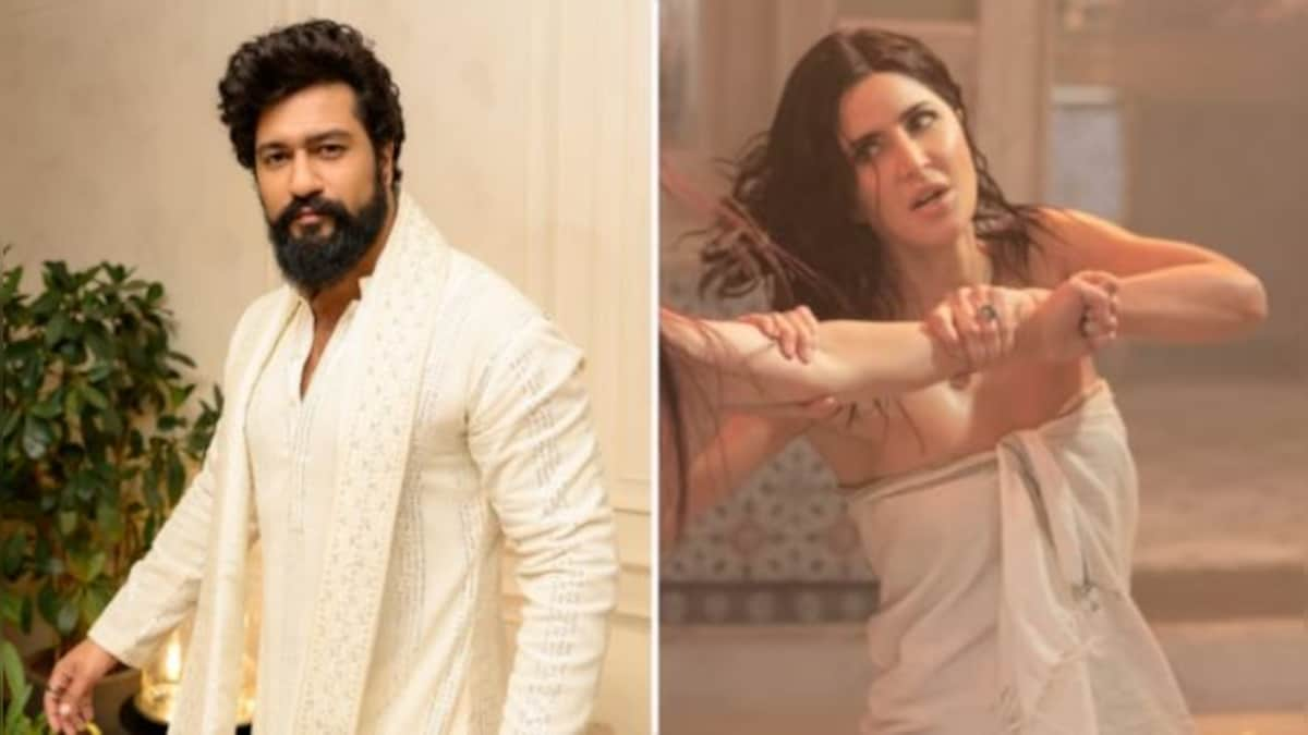 Vicky Kaushal on Katrina Kaif's towel scene in 'Tiger 3': 'When that sequence came, I…'