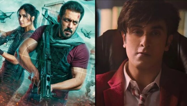 After Salman Khan's 'Tiger 3', fans burst crackers inside cinema halls for Ranbir Kapoor's 'Animal'