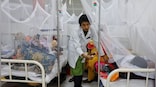 World gripped by dengue: So far in 2023 mosquito-borne disease has infected 5 million, killed 5,500