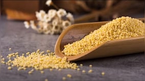 Celebrate the International Year of Millets 2023 with the Forgotten Superfood of India