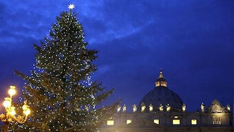 In Graphics | What's the history behind the Christmas tree?