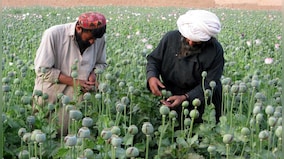 Hindu Kush: The epicentre of terror, drugs and weapons demands India’s vigilant gaze