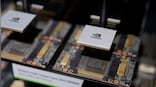 AI High: NVIDIA, AMD shares jump to a new high, analysts optimistic about AI hardware