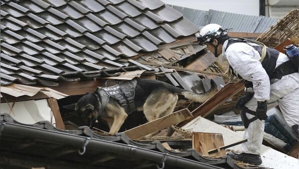 How a rescue dog found elderly woman trapped in house days after Japan earthquake
