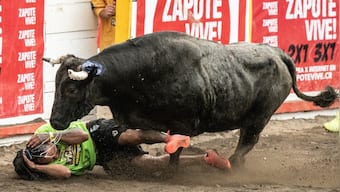 Bullfighting returns to Mexico City: Why it was banned and what is its contribution to economy?
