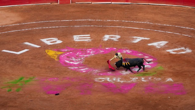 Mexico City bullfights hit with new suspension days after resumption Mexico City bullfights hit with new suspension days after resumption