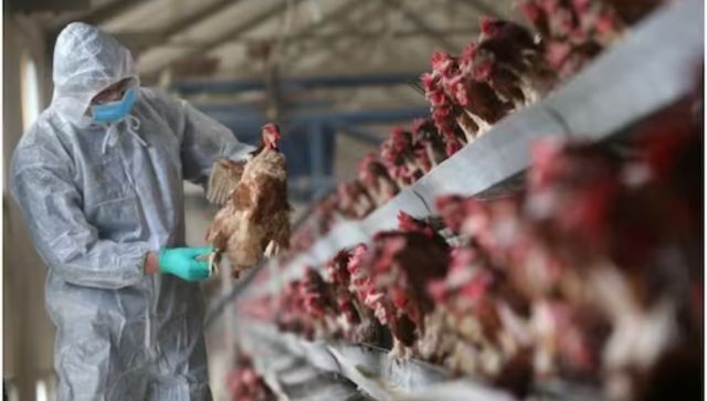 China reports death of woman from combined H3N2, H10N5 strains of bird flu China reports death of woman from combined H3N2, H10N5 strains of bird flu