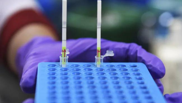 Chinese scientist revealed Covid sequence weeks ahead of official release: US committee Chinese scientist revealed Covid sequence weeks ahead of official release: US committee