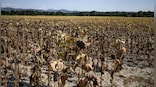 Global Warming: 2023 breaks heat record; warmest in 100,000 years