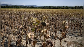 Global Warming: 2023 breaks heat record; warmest in 100,000 years