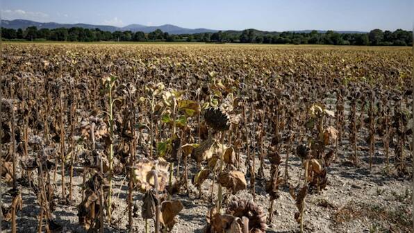 Global Warming: 2023 breaks heat record; warmest in 100,000 years