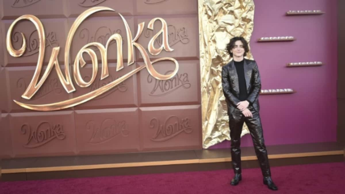 Timothée Chalamet starrer Wonka ends the year No 1 at the box office, 2023 sales reach $9 billion in post-pandemic best