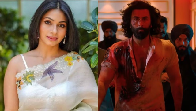 Kajol's sister Tanishaa Mukerji on Ranbir Kapoor starrer Animal: 'It wasn't an anti-feminist film at all' Kajol's sister Tanishaa Mukerji on Ranbir Kapoor starrer Animal: 'It wasn't an anti-feminist film at all'