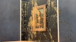 Vantage | What does throwing soup over Mona Lisa really achieve?