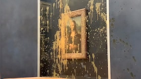 Vantage | What does throwing soup over Mona Lisa really achieve?