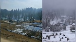 Disappearing Act: Why Kashmir’s Gulmarg is snowless this winter
