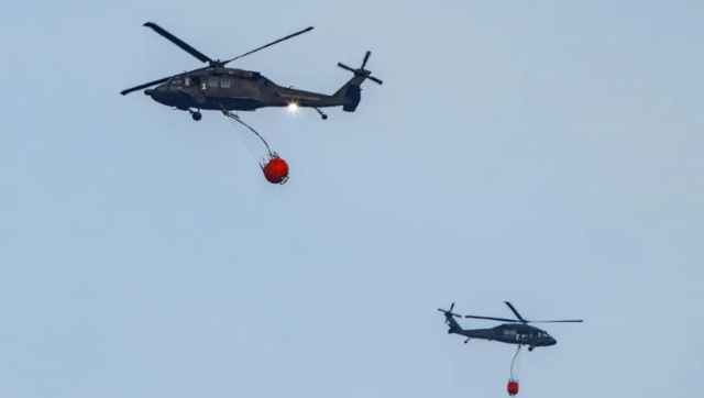 Colombian forest fires have destroyed over 17,000 hectares Colombian forest fires have destroyed over 17,000 hectares