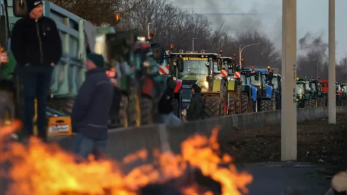 French farmers announce plan to seize Paris to demand better work environment, pay