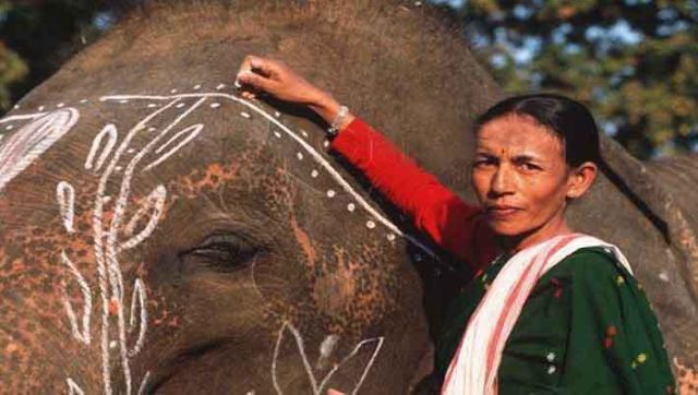 Who is Parbati Baruah, India’s first woman elephant mahout and Padma Shri winner? Who is Parbati Baruah, India’s first woman elephant mahout and Padma Shri winner?