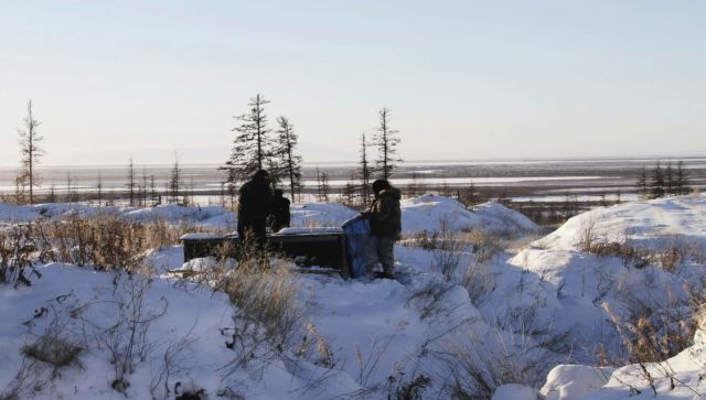 How ‘zombie’ viruses in Siberia could trigger the next deadly pandemic How ‘zombie’ viruses in Siberia could trigger the next deadly pandemic