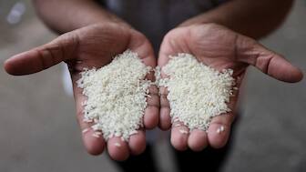 India continued to be the world’s biggest rice exporter in 2023 despite export bans. Reuters File Photo