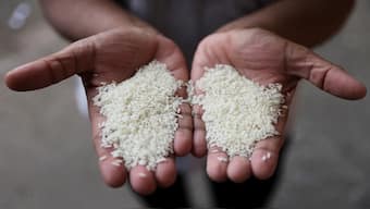 India continued to be the world’s biggest rice exporter in 2023 despite export bans. Reuters File Photo