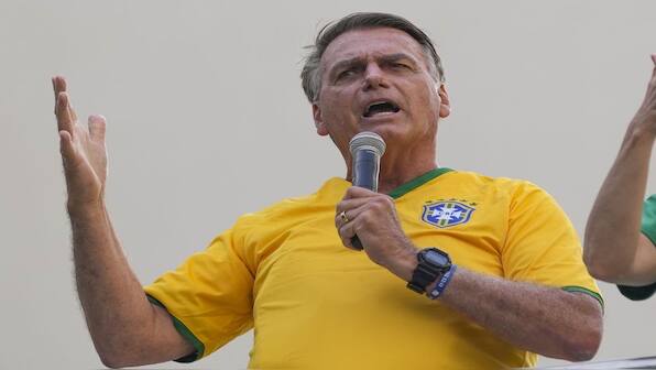Did ex-Brazilian president Jair Bolsonaro harass a whale?